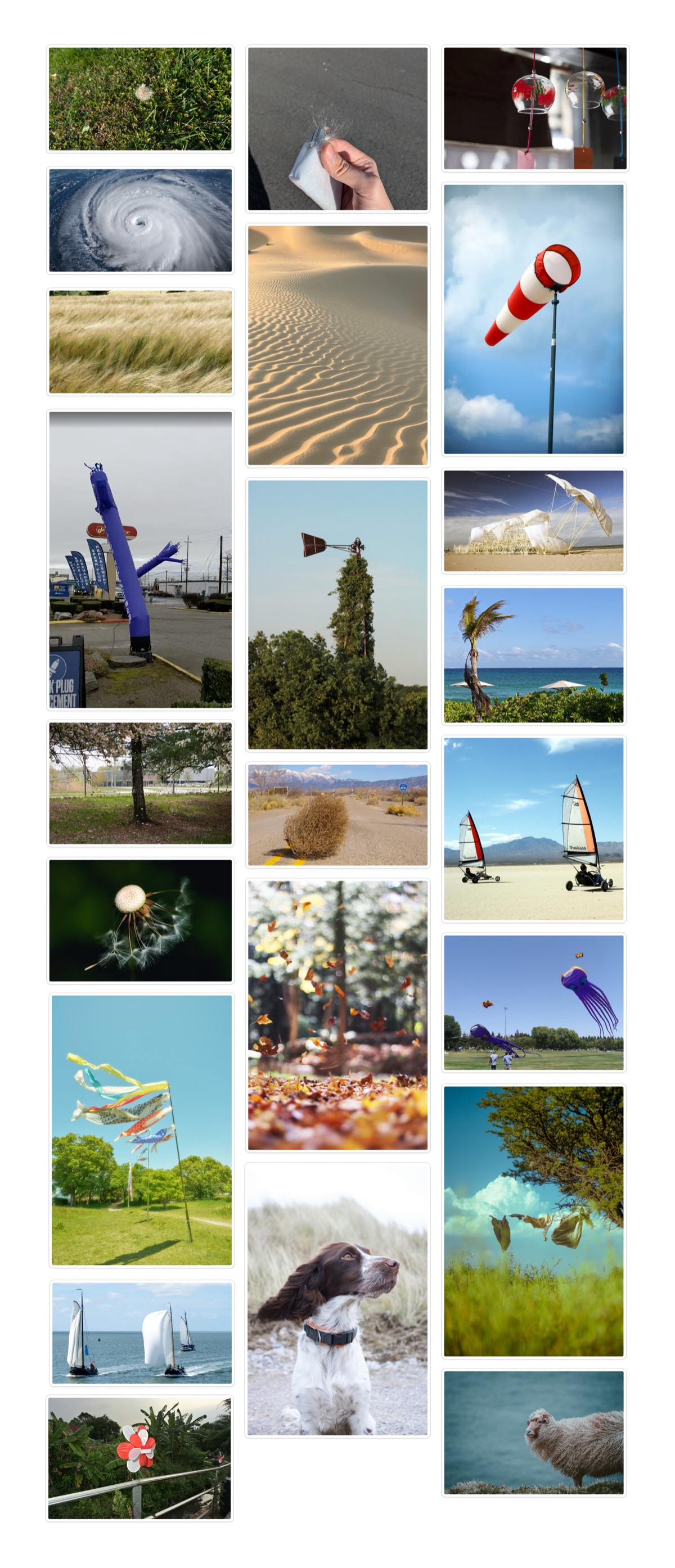 Mood board of wind phenomena, from dandelions and windsocks to kites and sand dunes